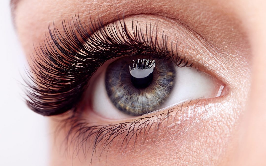 Brown Vs Black Eye Lashes: Which One to Choose for Your Eyes?